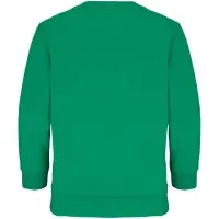 Свитшот детский Columbia Kids, ярко-зеленый, на рост 154-164