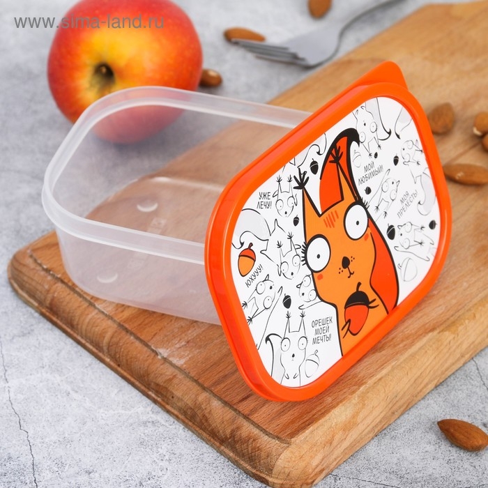 Ланч-бокс &laquo;Белка&raquo;, 0.5 л