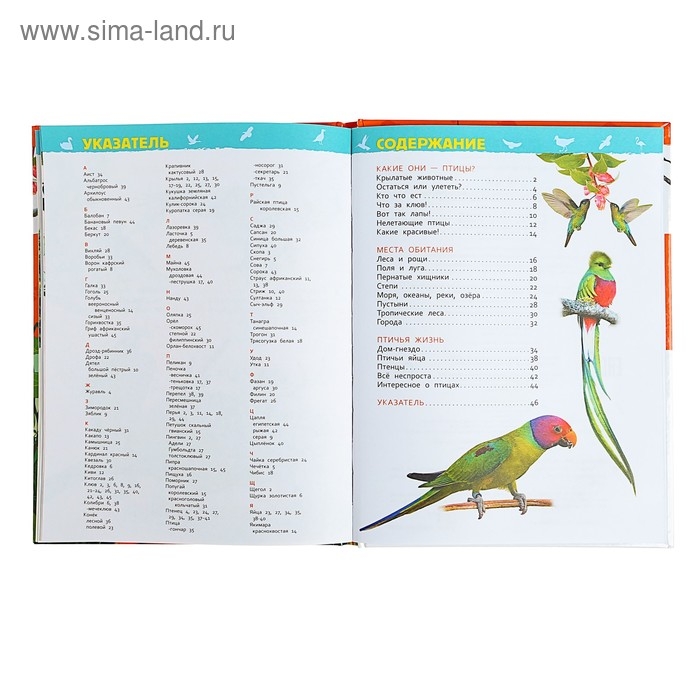 Энциклопедия для детского сада &laquo;Птицы&raquo;, Гальцева С. Н.