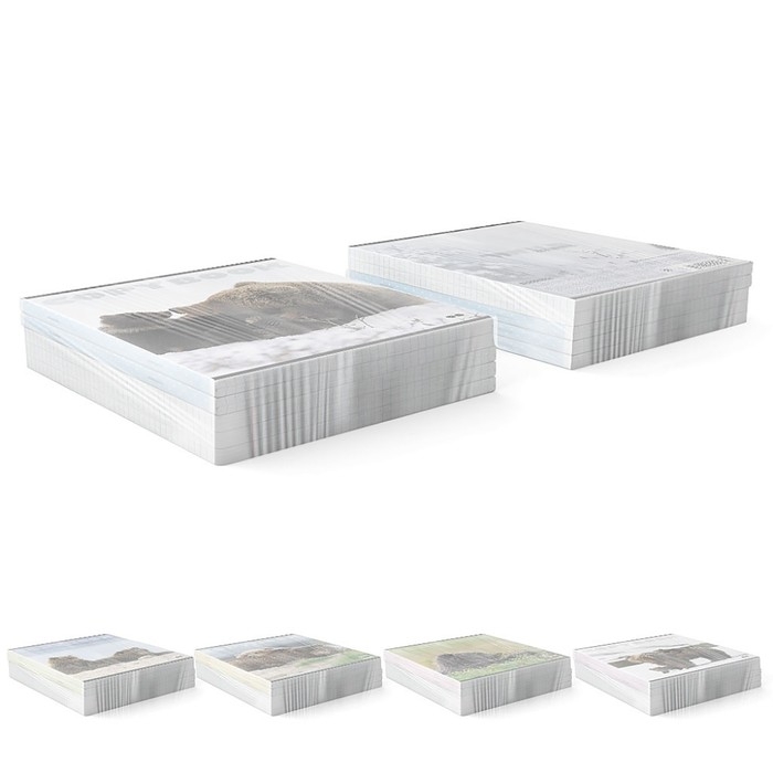 Тетрадь 96 листов в клетку, ErichKrause "Медведи", обложка мелованный картон, глянцевая ламинация, блок офсет 100% белизна, МИКС