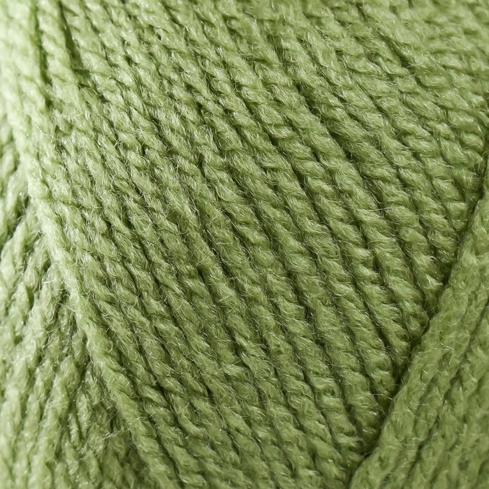 Пряжа "Elite" 100% акрил 300м/100г (69 фисташка)