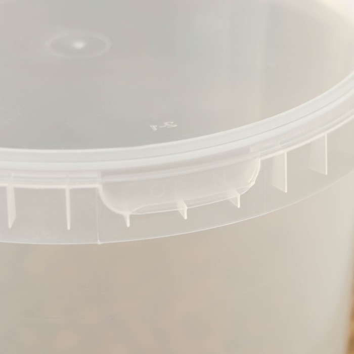 Ведро пластиковое одноразовое с крышкой &laquo;Для солений&raquo;, 2,8 л, d=17 см, прозрачное, 120 шт/уп