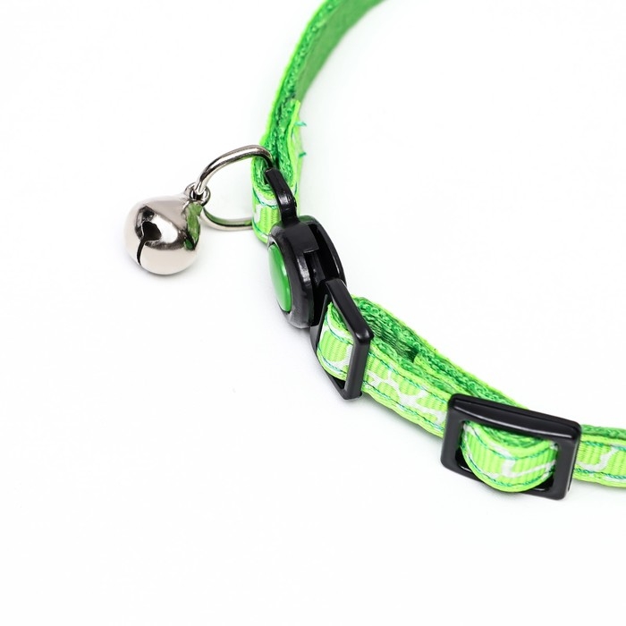 Ошейник кошачий "Жираф", 30 х 1 см, зелёный