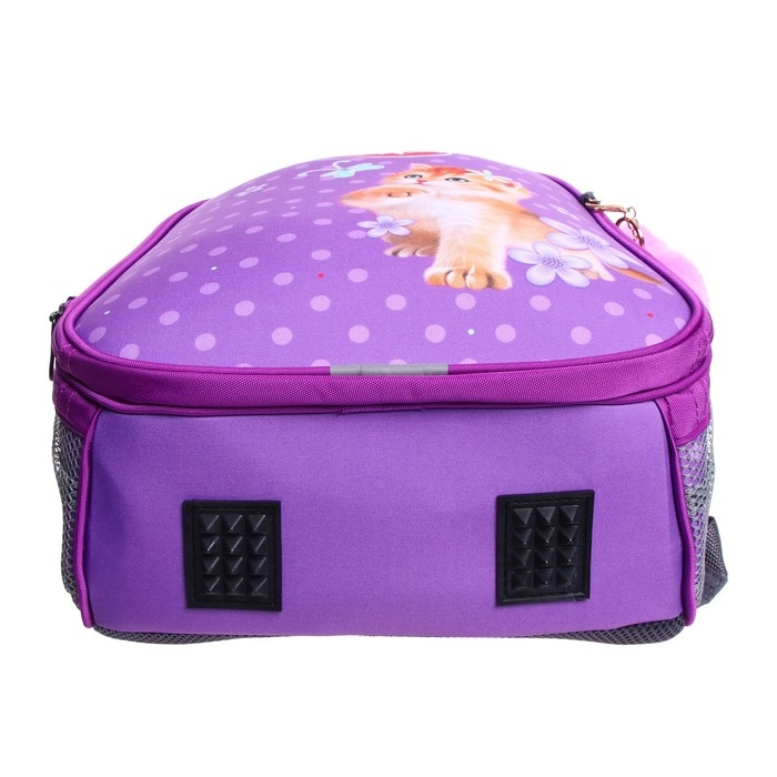 Рюкзак каркасный школьный 38 х 30 х 16 см, эргономичная спинка, Stavia Рюкзак каркасный школьный 38 х 30 х 16 см, эргономичная спинка, Stavia "Рыжий кот"