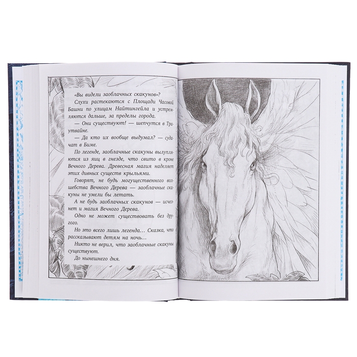 Хроники небесных лошадок. Стражники магии. Ридделл К.