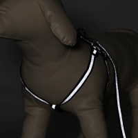 Комплект светоотражающий "Косточки", поводок 1 х 120 см (ОШ 22-34 см ,ОГ 22-34 см) чёрный Комплект светоотражающий "Косточки", поводок 1 х 120 см (ОШ 22-34 см ,ОГ 22-34 см) чёрный