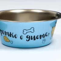 Миска стандартная "Пижон. Коротко о диете", 450 мл