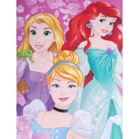 Постельное бельё 1.5 сп &laquo;Принцессы&raquo; 143х215 см, 150х214 см, 50х70 1 шт, поплин 125 г/м2