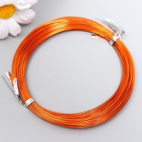 Проволока для творчества d 1мм, медь рул.10 м Проволока для творчества d 1мм, медь рул.10 м