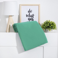 Плед "Экономь и Я" Изумруд 150*180 см, пл.160 г/м2, 100% п/э Плед "Экономь и Я" Изумруд 150*180 см, пл.160 г/м2, 100% п/э