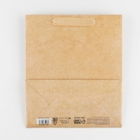 Пакет подарочный ламинированный, упаковка, &laquo;Крафтовый&raquo;, ML 23 х 27 х 11.5 см