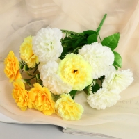 Букет "Маргаритка многолетняя" 7х26 см, микс Букет "Маргаритка многолетняя" 7х26 см, микс