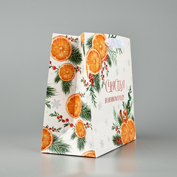 Пакет подарочный новогодний ламинированный квадратный &laquo;Счастья в Новом году&raquo;, 22 х 22 х 11 см , Новый год