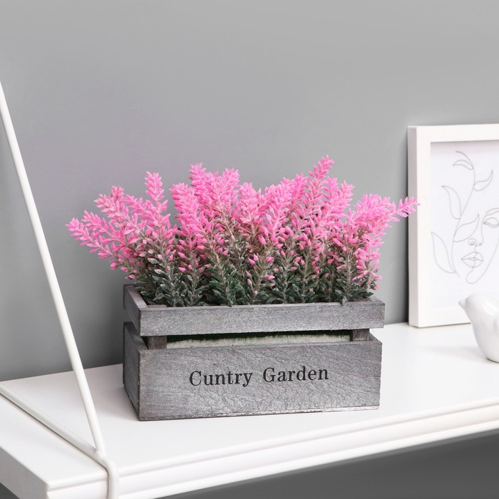 Бонсай "Лаванда в ящичке" 8х16,5х15 см, микс