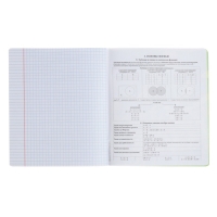 Тетрадь предметная ИНФОРМАТИКА, 48 листов в клетку, ErichKrause Manga, обложка мелованный картон, твин-лак, блок офсет 100% белизна, инфо-блок