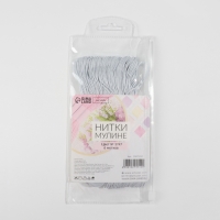 Набор ниток мулине №3064, 8 &plusmn; 1 м, 6 шт, цвет светло-серый
