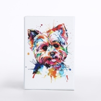 Обложка для паспорта, цвет белый