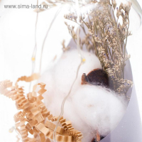 Ночник-колба "Цветок из хлопка" LED батарейки 3хААА МИКС 9,5х9,5х19 см RISALUX