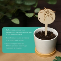 Таблички садовые для маркировки, 12 см, набор 8 шт., дерево, &laquo;Помидор&raquo;, Greengo