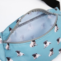 Поясная сумка на молнии, цвет голубой Поясная сумка на молнии, цвет голубой