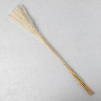 Сухоцвет &laquo;Камыш&raquo; набор 15 шт, цвет бежевый