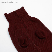 Свитер, размер 18 (ДС 50-65, ОШ 22-37, ОГ 38-53 см), микс расцветок Свитер, размер 18 (ДС 50-65, ОШ 22-37, ОГ 38-53 см), микс расцветок