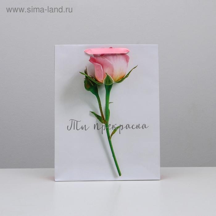 Пакет подарочный ламинированный вертикальный, упаковка, «Ты прекрасна», L 31 х 40 х 11,5 см Пакет подарочный ламинированный вертикальный, упаковка, «Ты прекрасна», L 31 х 40 х 11,5 см