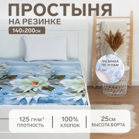 Простыня на резинке &laquo;Этель&raquo; 140х200х25 см