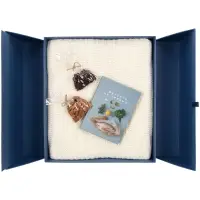 Коробка Wingbox, синяя Коробка Wingbox, синяя