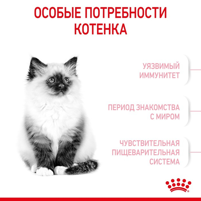 Сухой корм RC Kitten для котят, 300 г