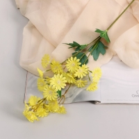 Цветы искусственные "Хризантема" премиум, 3,5х62 см, жёлтый Цветы искусственные "Хризантема" премиум, 3,5х62 см, жёлтый