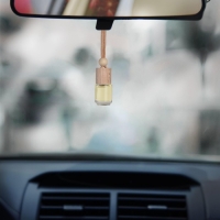 Ароматизатор подвесной &laquo;Вкус лета&raquo;, аромат: лесные ягоды, 5 мл