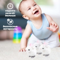 Игрушка заводная &laquo;Кролик&raquo;