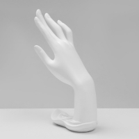 Подставка для украшений &laquo;Рука&raquo; 9&times;12&times;22, цвет белый