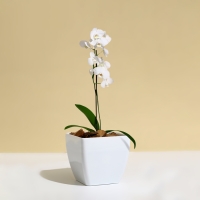 Кашпо для цветов, 13 &times; 13 см, 1,5 л, пластик, белое