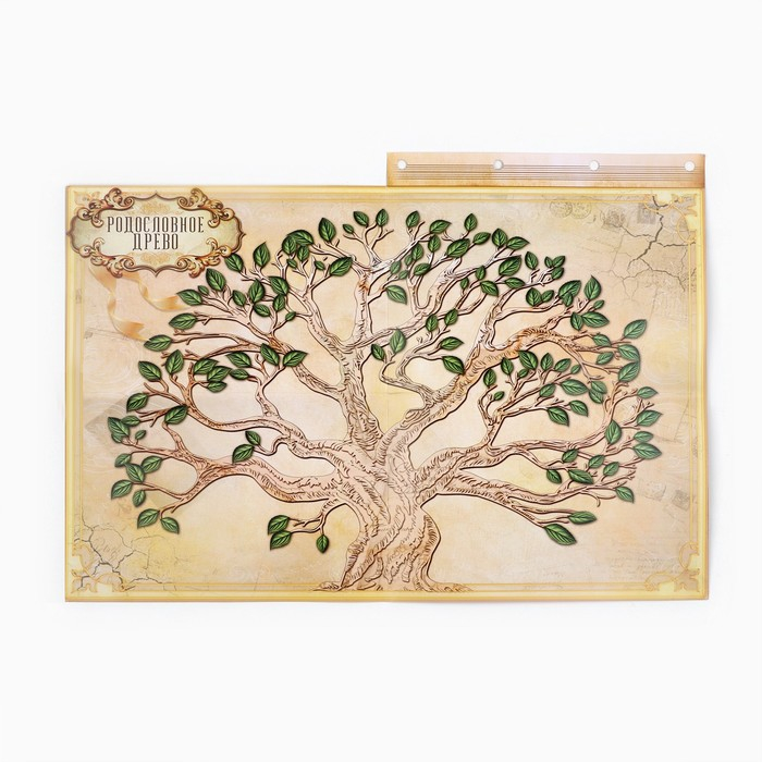 Родословная книга &laquo;Наш род&raquo;, с пером, 56 листов, бордо, 35 х 25 см