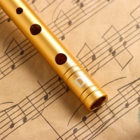 Флейта Music Life D, золотая, 30 см Флейта Music Life D, золотая, 30 см