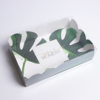 Коробка для печенья, кондитерская упаковка с PVC крышкой, «Эко», 20 х 30 х 8 см Коробка для печенья, кондитерская упаковка с PVC крышкой, «Эко», 20 х 30 х 8 см