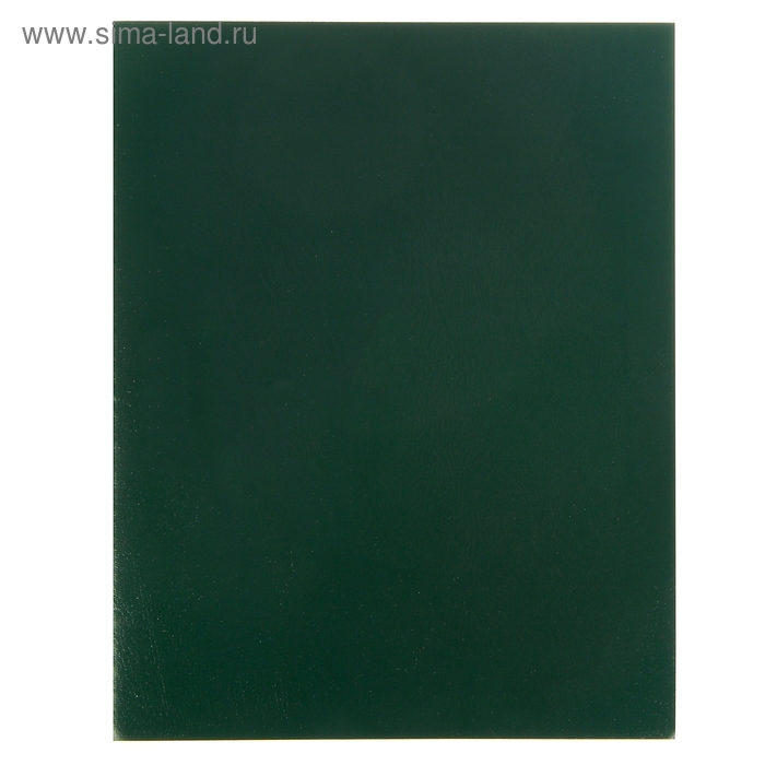 Тетрадь 96 листов в клетку Тетрадь 96 листов в клетку "Зелёная", обложка бумвинил