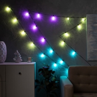 Умная гирлянда &laquo;Нить&raquo; 6 м с насадками &laquo;Шишки&raquo;, IP20, тёмная нить, 20 LED, свечение RGB, USB