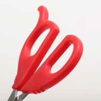 Ножницы-когтерезы малые с упором для пальца, 10 х 5 х 0,5 см, эконом, микс цветов Ножницы-когтерезы малые с упором для пальца, 10 х 5 х 0,5 см, эконом, микс цветов