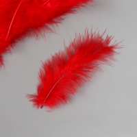 Перо декоративное гусиное пуховое "Алое" набор 40 шт h=10-15 см Перо декоративное гусиное пуховое "Алое" набор 40 шт h=10-15 см