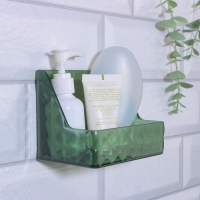 Органайзер для хранения &laquo;GREEN&raquo;, навесной, 1 секция, с клеевой основой, 11,8 &times; 7,8 &times; 9 см, цвет полупрозрачный/зелёный