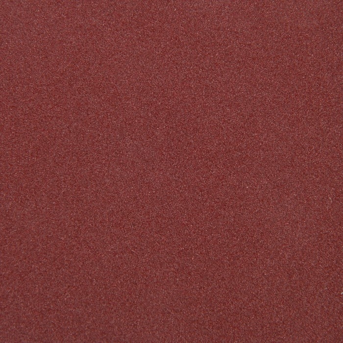 Круг абразивный шлифовальный под "липучку" ТУНДРА, 125 мм, Р120, 10 шт.