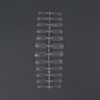 Гелевые типсы для наращивания ногтей, 240 шт, форма мягкий квадрат, полное матовое покрытие, в контейнере, цвет прозрачный Гелевые типсы для наращивания ногтей, 240 шт, форма мягкий квадрат, полное матовое покрытие, в контейнере, цвет прозрачный