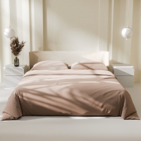 Постельное бельё LoveLife евро "Gold sand" 200х215 см, 225х240 см, 50х70± 3 см-2 шт, микрофибра 85 гр Постельное бельё LoveLife евро "Gold sand" 200х215 см, 225х240 см, 50х70± 3 см-2 шт, микрофибра 85 гр