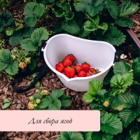 Ёмкость для сбора ягод, 3 л, белая