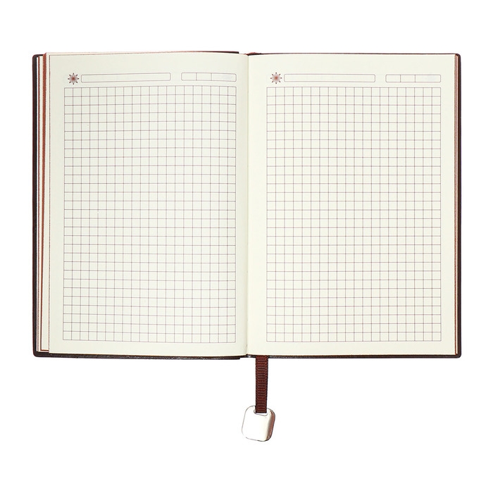 Органайзер на кольцах, B6, 116л, клетка, обл.кожзам, коричневый срез, Черный Органайзер на кольцах, B6, 116л, клетка, обл.кожзам, коричневый срез, Черный