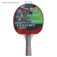 Ракетка для настольного тенниса Double Fish (107) Ракетка для настольного тенниса Double Fish (107)