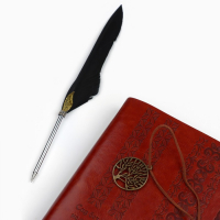 Родословная книга &laquo;Наш род&raquo;, с пером, 56 листов, коричневый, 35 х 25 см